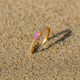 Bague fine Paradiso – Argent 925 & pierre | L’Atelier de Malte Quartz rose / 6